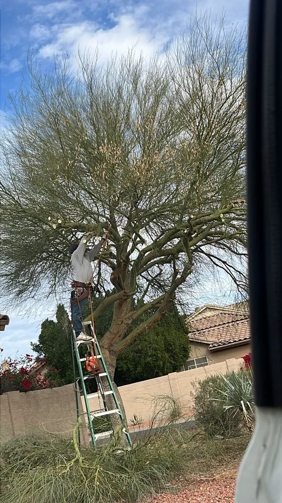 Top-rated residential landscaping for beautiful yards across Mesa, AZ - Brothers Gonzalez Landscaping