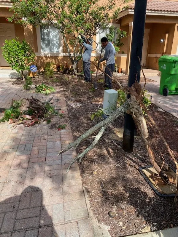 Professional lawn mowing service for residential properties in Fort Lauderdale, FL by Brothers Greenscape