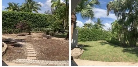 Top-rated garden landscaping with custom design in Fort Lauderdale, FL by Brothers Greenscape