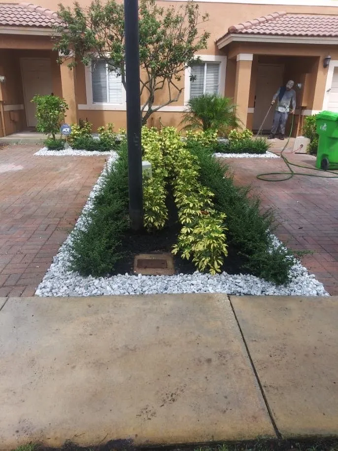 Professional outdoor landscaping in Fort Lauderdale, FL - Brothers Greenscape