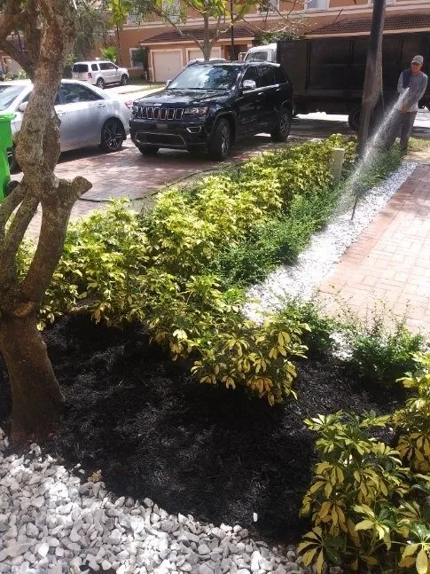 Custom lawn mowing service with custom design across Fort Lauderdale, FL - Brothers Greenscape