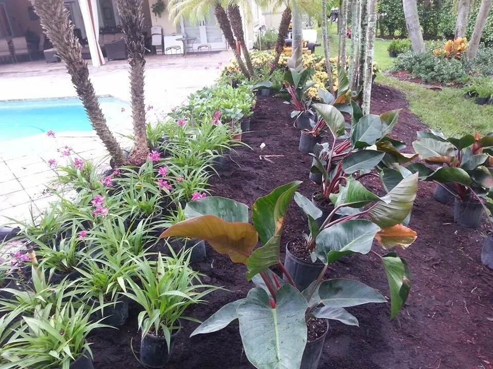 Trusted outdoor landscaping experts serving Fort Lauderdale, FL - Brothers Greenscape