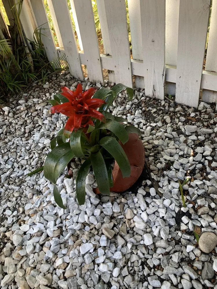 Top-rated landscape installation for year-round maintenance across Fort Lauderdale, FL - Brothers Greenscape