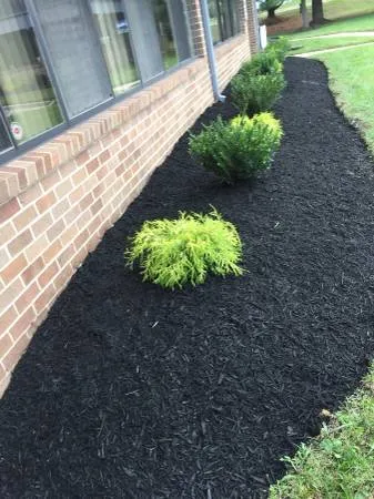 Affordable yard maintenance in Annapolis, MD - Brothers Hardscaping
