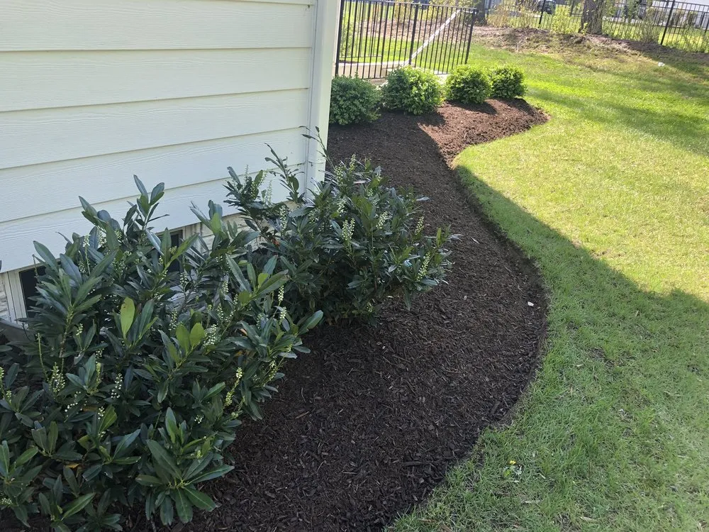 Top-rated yard maintenance near you in Annapolis, MD by Brothers Hardscaping