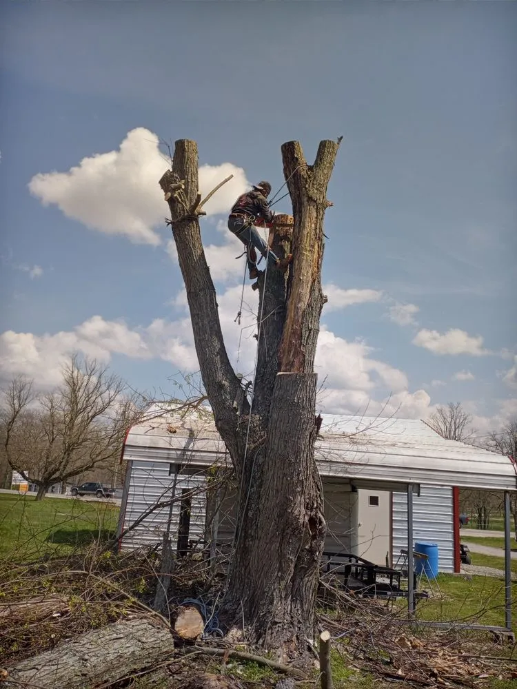 Professional yard maintenance in Crossville, TN - Brothers in Christ Tree Service and Landscaping