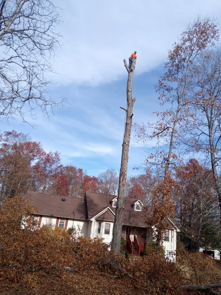 Affordable lawn mowing service in Crossville, TN - Brothers in Christ Tree Service and Landscaping