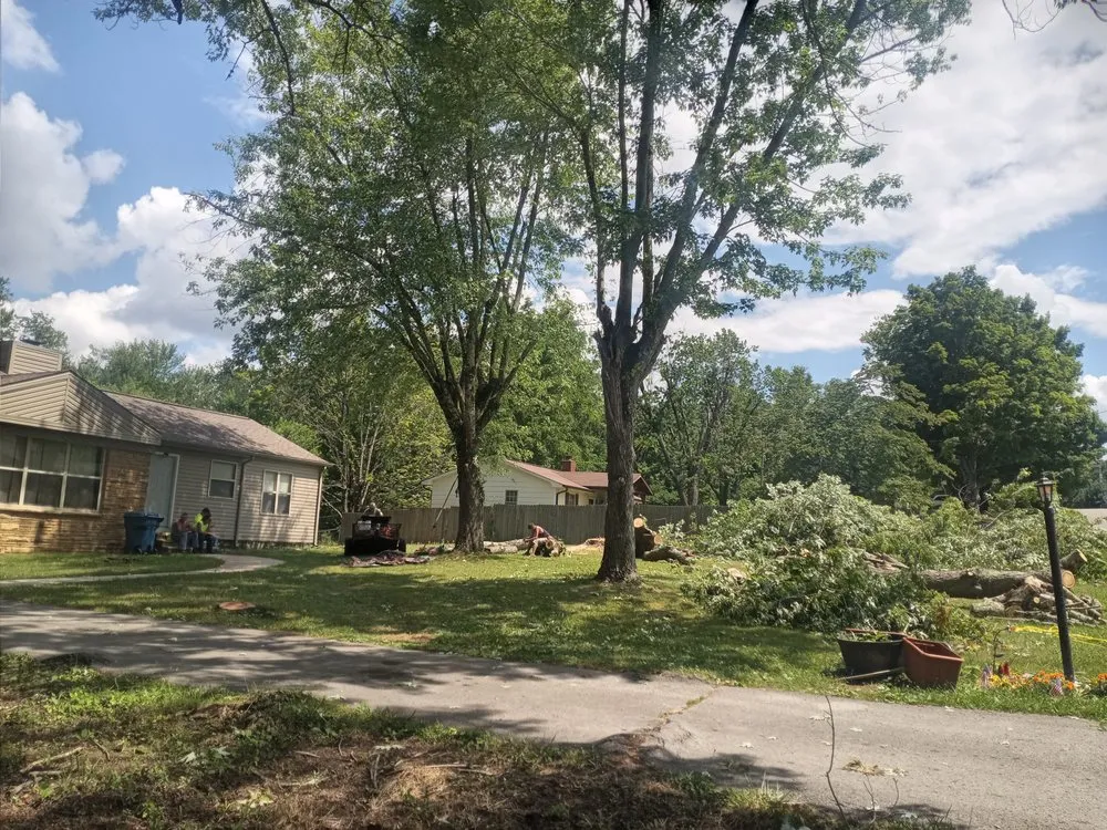 Professional yard maintenance experts serving Crossville, TN - Brothers in Christ Tree Service and Landscaping