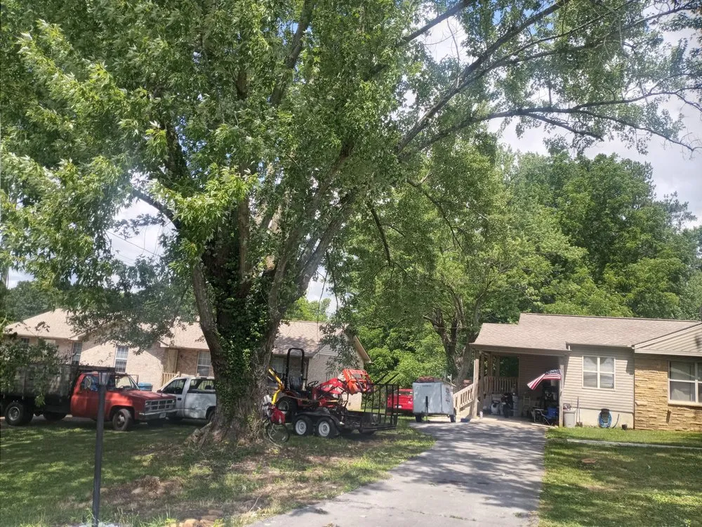 Affordable lawn care service in Crossville, TN - Brothers in Christ Tree Service and Landscaping