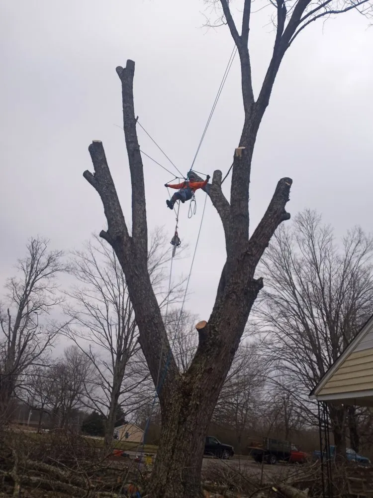 Custom landscape design for beautiful yards across Crossville, TN - Brothers in Christ Tree Service and Landscaping