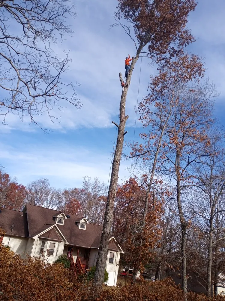 Top-rated garden landscaping for beautiful yards across Crossville, TN - Brothers in Christ Tree Service and Landscaping