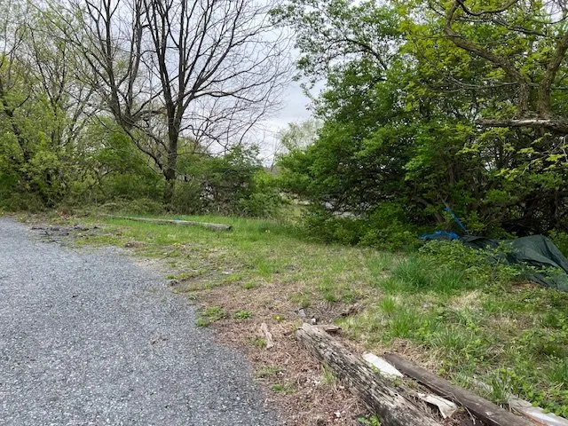 Local yard cleanup service in Lehighton, PA - Brothers In Lawn And More