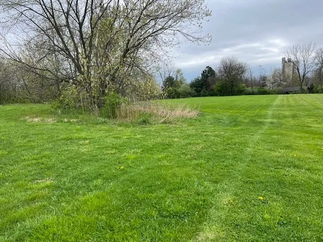 Local lawn care service experts serving Lehighton, PA - Brothers In Lawn And More