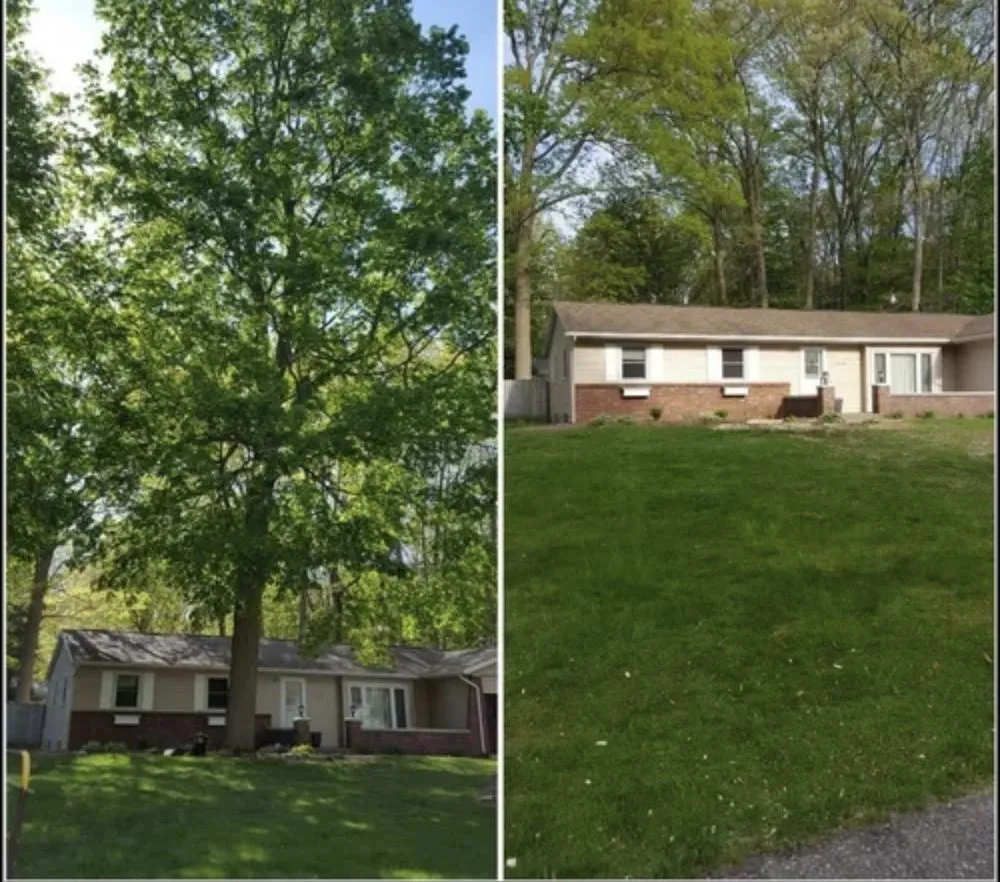 Affordable landscaping services experts serving Evanston, IL - Brothers in lawn