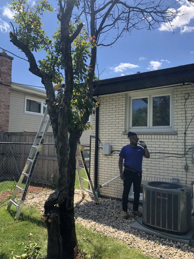 Expert yard maintenance in Evanston, IL by Brothers in lawn