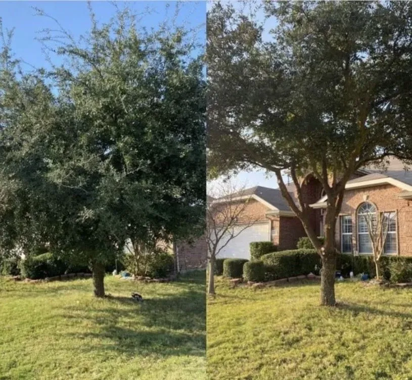 Top-rated outdoor landscaping near you across Evanston, IL - Brothers in lawn