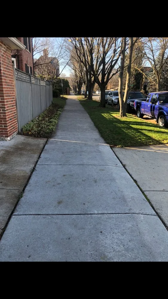 Local yard cleanup service for beautiful yards across Evanston, IL - Brothers in lawn