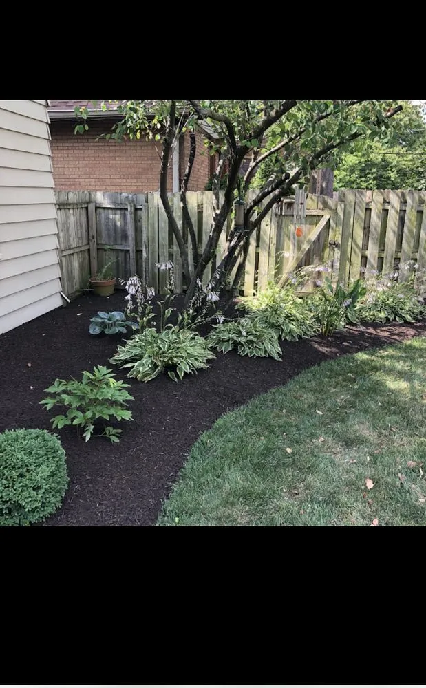 Custom landscape installation experts serving Evanston, IL - Brothers in lawn