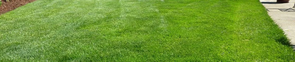 Trusted lawn care service in Yorktown, VA by Brother's Keepers