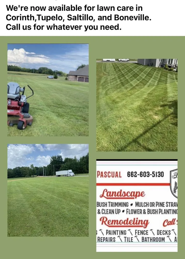 Top-rated lawn care service in Corinth, MS by Brothers Landscape & Remodeling