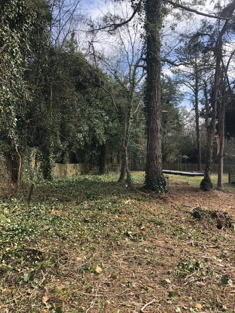 Affordable landscaping services with custom design across Tuckahoe, VA - Brothers landscape and tree service