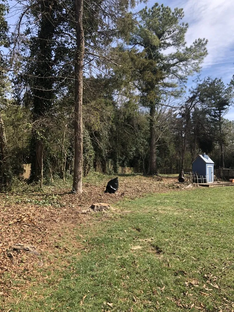 Trusted outdoor landscaping for homes in Tuckahoe, VA by Brothers landscape and tree service