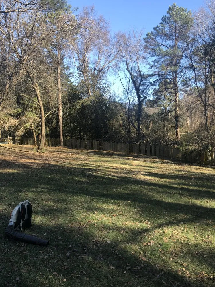 Local lawn care service near you across Tuckahoe, VA - Brothers landscape and tree service