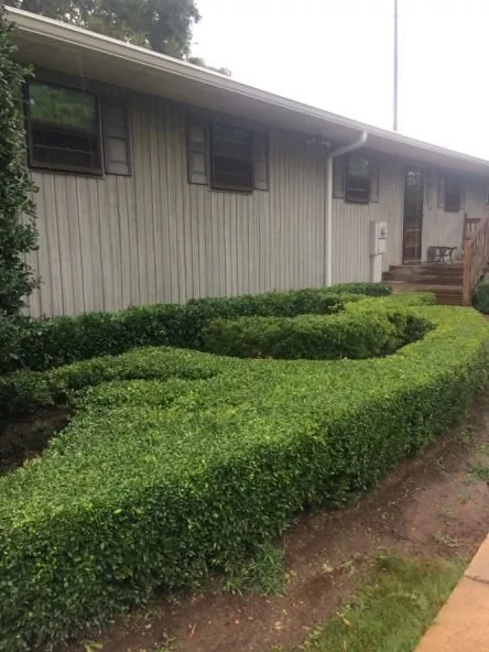 Trusted lawn care service in Birmingham, AL - Brothers Landscape