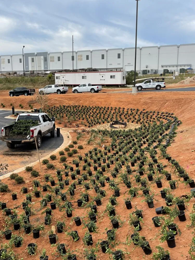 Reliable residential landscaping for year-round maintenance in Carrollton, GA by Brothers Landscape