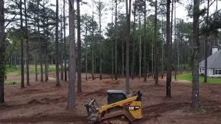 Expert yard maintenance for year-round maintenance across Carrollton, GA - Brothers Landscape