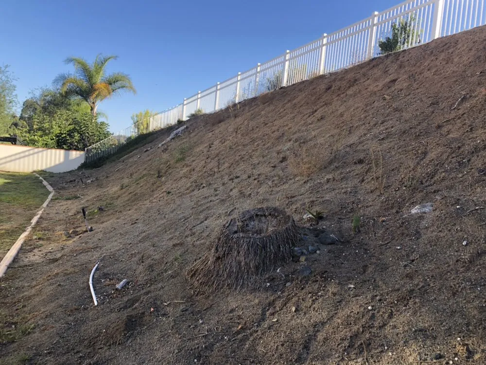 Local yard maintenance in El Cajon, CA by Brothers Landscape