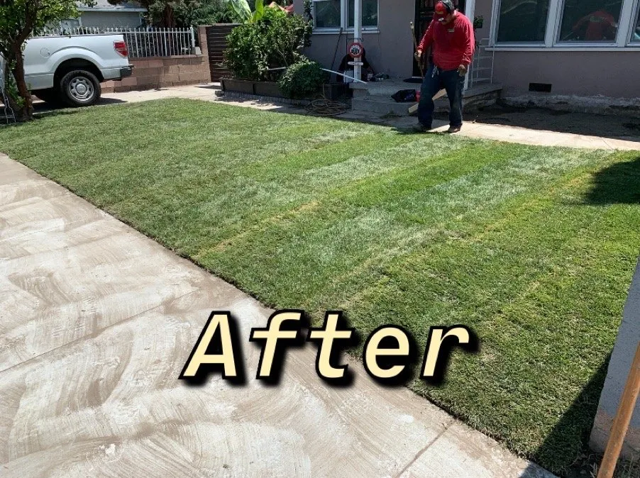 Expert lawn mowing service experts serving Anaheim, CA - Brothers Landscape Services