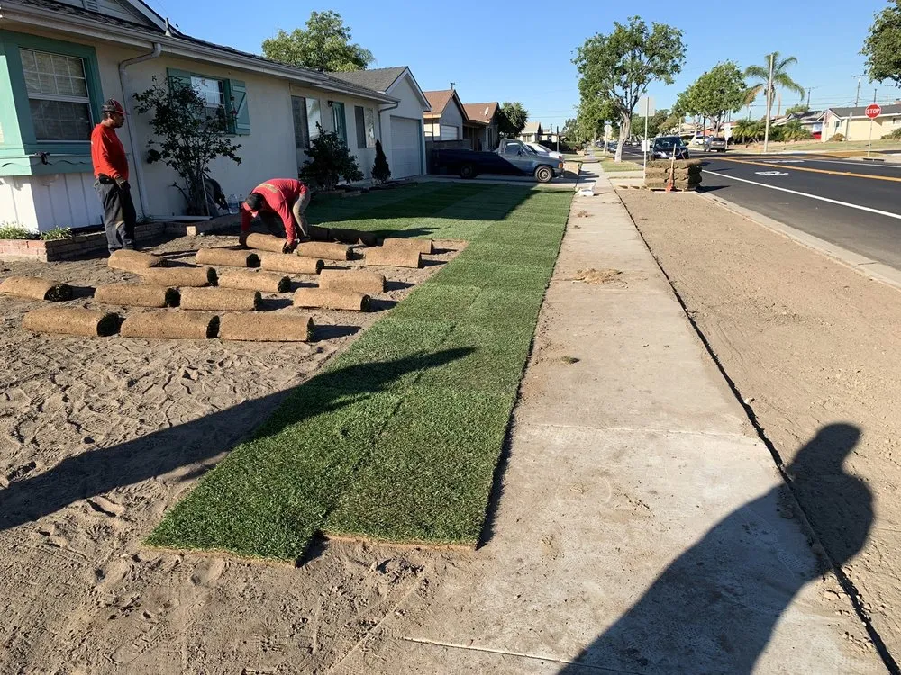 Trusted residential landscaping for year-round maintenance across Anaheim, CA - Brothers Landscape Services