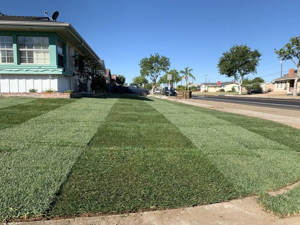 Top-rated yard maintenance for residential properties across Anaheim, CA - Brothers Landscape Services