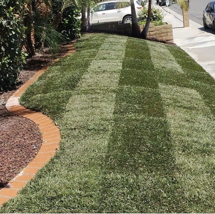 Local lawn care service experts serving Anaheim, CA - Brothers Landscape Services
