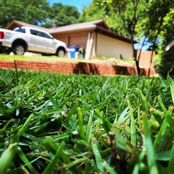 Trusted landscape installation in Euless, TX by Brothers Landscape Services