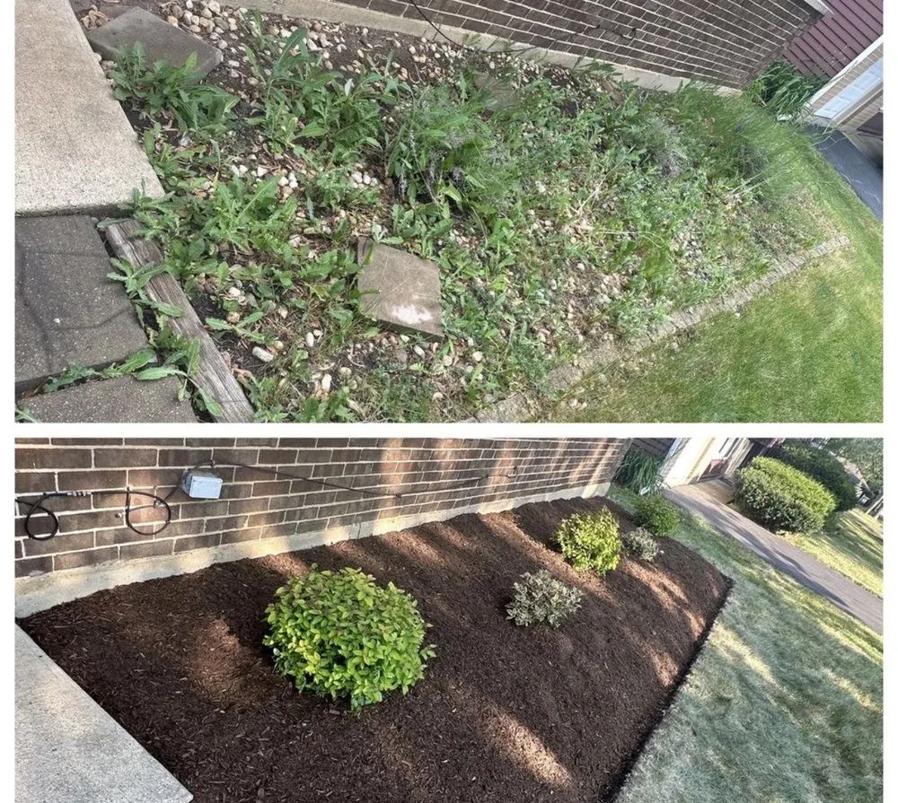 Expert yard cleanup service in West Chicago, IL - Brothers Landscape