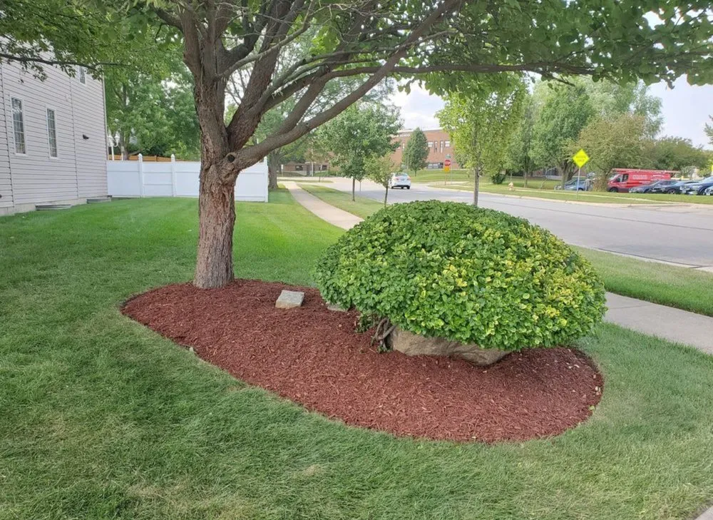 Local landscape design for year-round maintenance across West Chicago, IL - Brothers Landscape