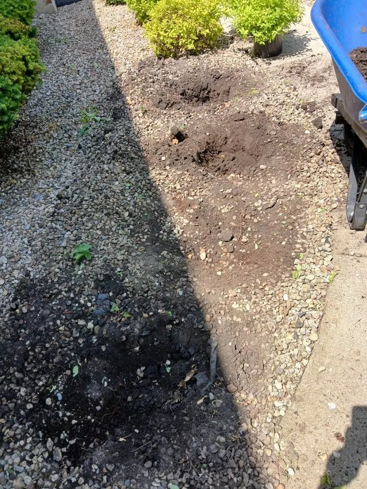 Professional landscaping services in West Chicago, IL by Brothers Landscape