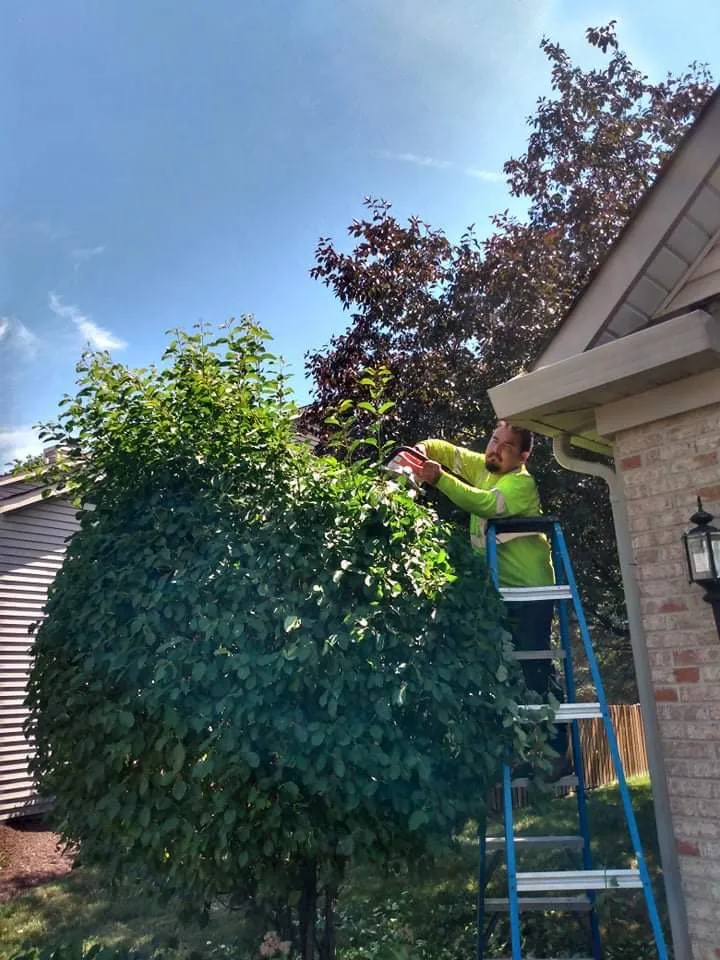 Custom yard maintenance in West Chicago, IL by Brothers Landscape