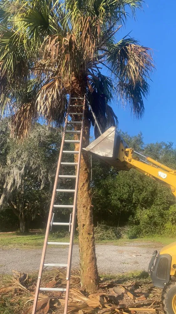 Affordable yard cleanup service in Winter Haven, FL - Brothers Landscape