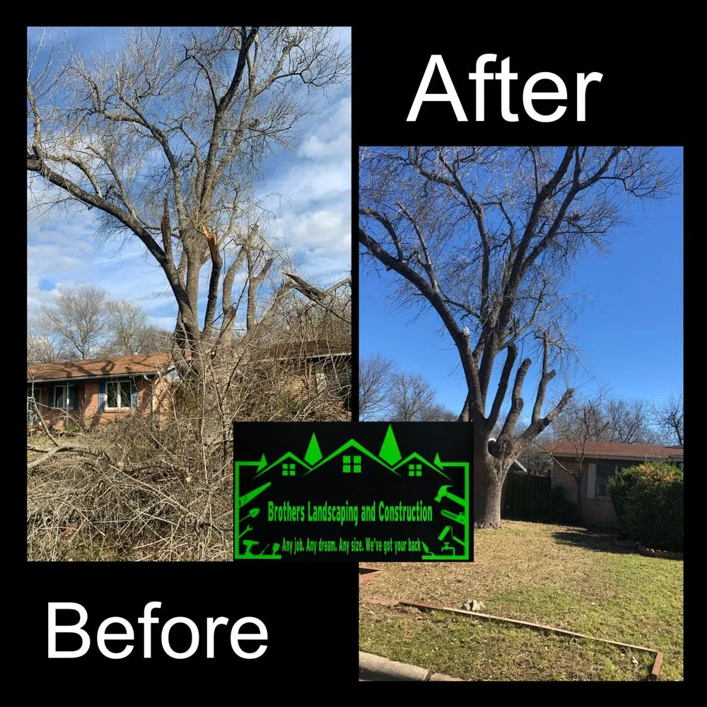 Trusted landscape design for year-round maintenance across Austin, TX - Brothers Landscaping and Construction