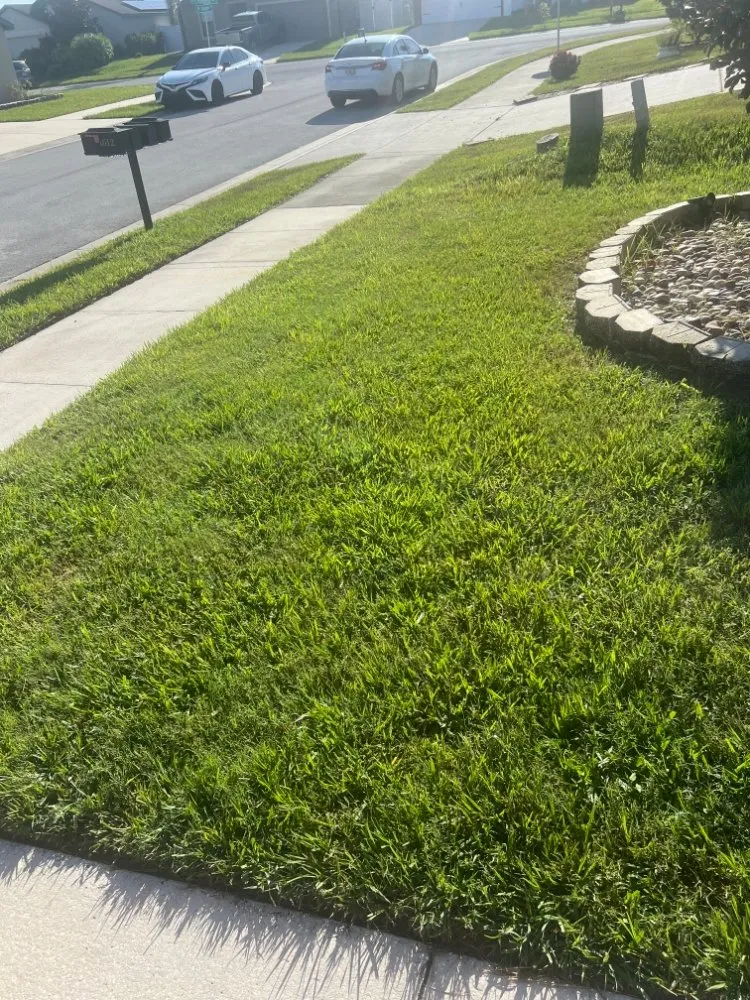 Custom lawn care service for homes across Haines City, FL - Brothers' Landscaping and More