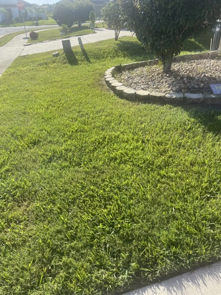 Affordable landscaping services for outdoor upgrades in Haines City, FL by Brothers' Landscaping and More