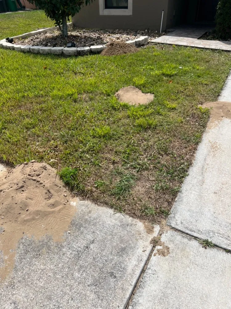 Professional residential landscaping experts serving Haines City, FL - Brothers' Landscaping and More