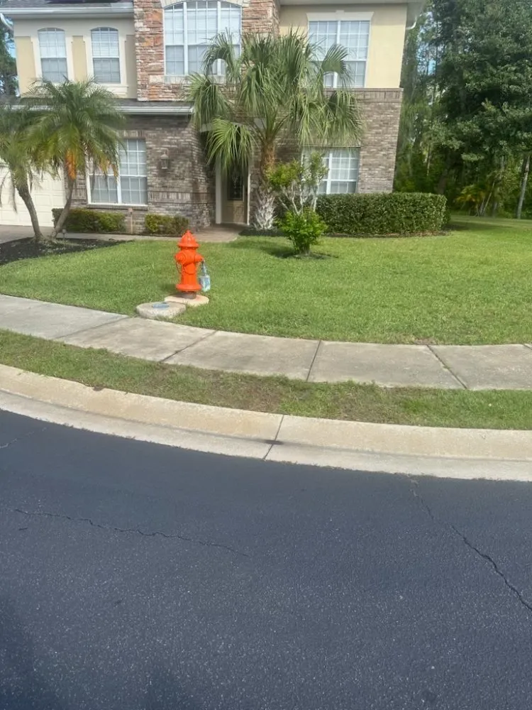 Custom residential landscaping near you across Haines City, FL - Brothers' Landscaping and More