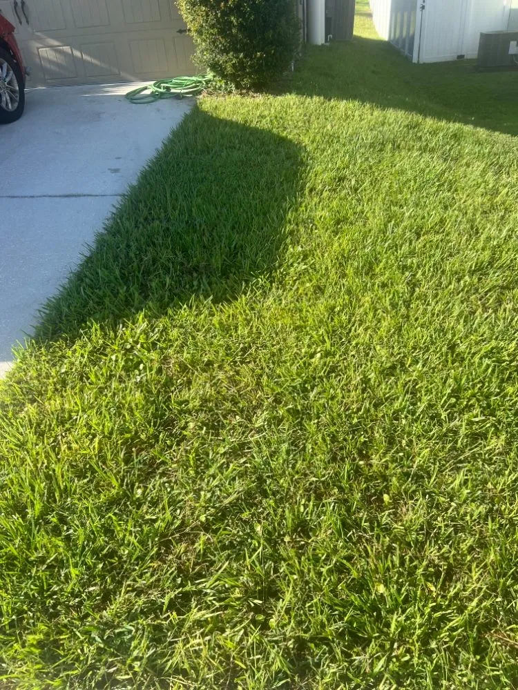 Top-rated landscape design for homes in Haines City, FL by Brothers' Landscaping and More