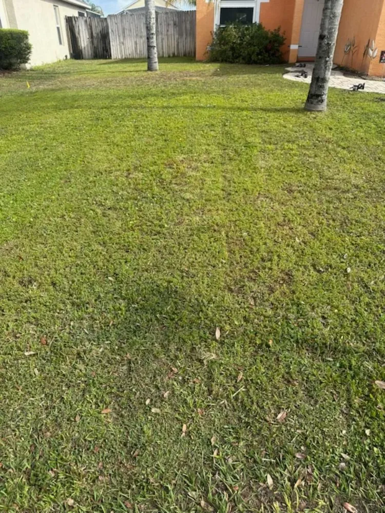 Affordable lawn care service for homes in Haines City, FL by Brothers' Landscaping and More