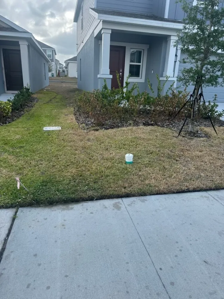 Local yard cleanup service in Haines City, FL - Brothers' Landscaping and More