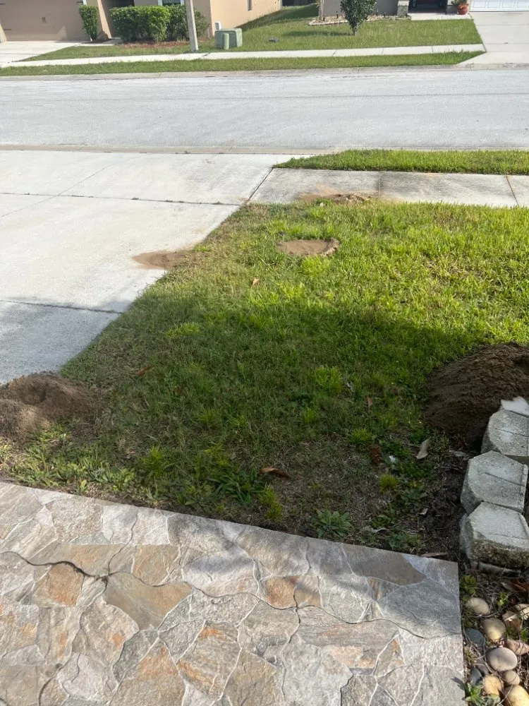 Reliable yard maintenance in Haines City, FL - Brothers' Landscaping and More